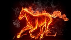 1-miscellaneous-digital-art-fire-horse-wallpaper