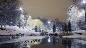 City-Park-Trees-Winter-Snow-Lights