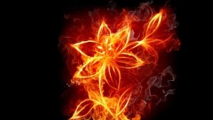 Flames-Flowers-Fire-Smoke-Black-Background-