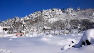Tamagawa_Onsen_Shrine_Covered_in_Snow