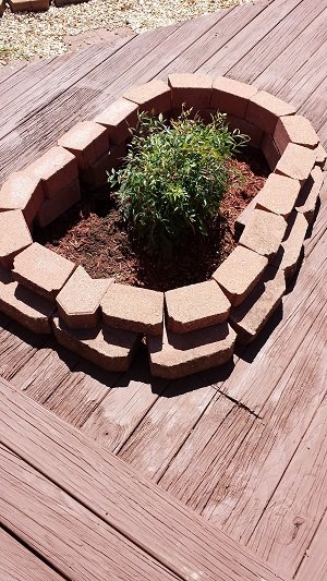 samsung-galaxy-s4-camera-1