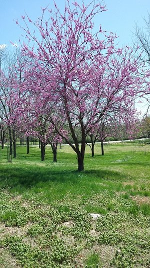 samsung-galaxy-s4-camera-10