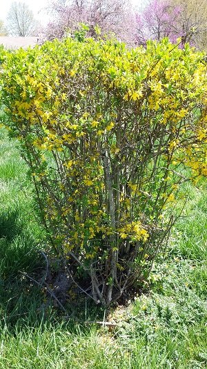 samsung-galaxy-s4-camera-15