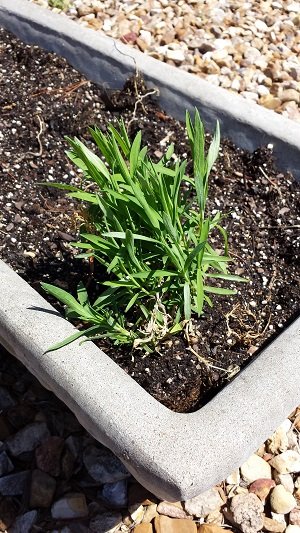 samsung-galaxy-s4-camera-16