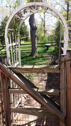 samsung-galaxy-s4-camera-5