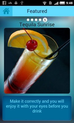 Cocktail Master (2)