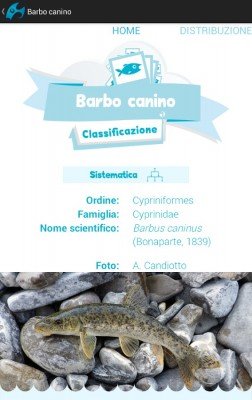 FishApp Atlas (2)