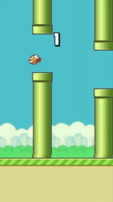 Flappy Bird (2)