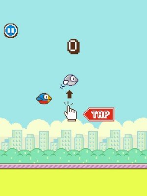 Flappy Wings (2)