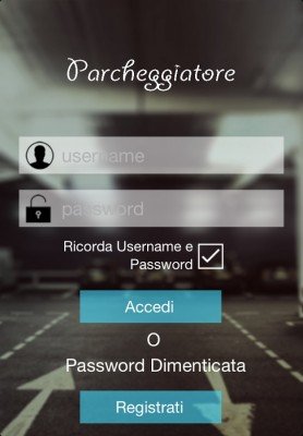 parcheggiatore (2)