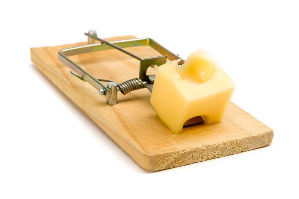 Mouse trap