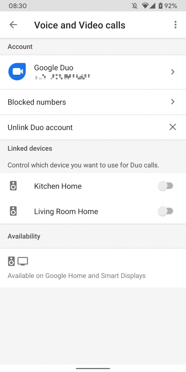 Google Duo supporto chiamate Google Home speaker