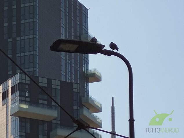 Recensione ASUS ZenFone 7 Pro foto sample