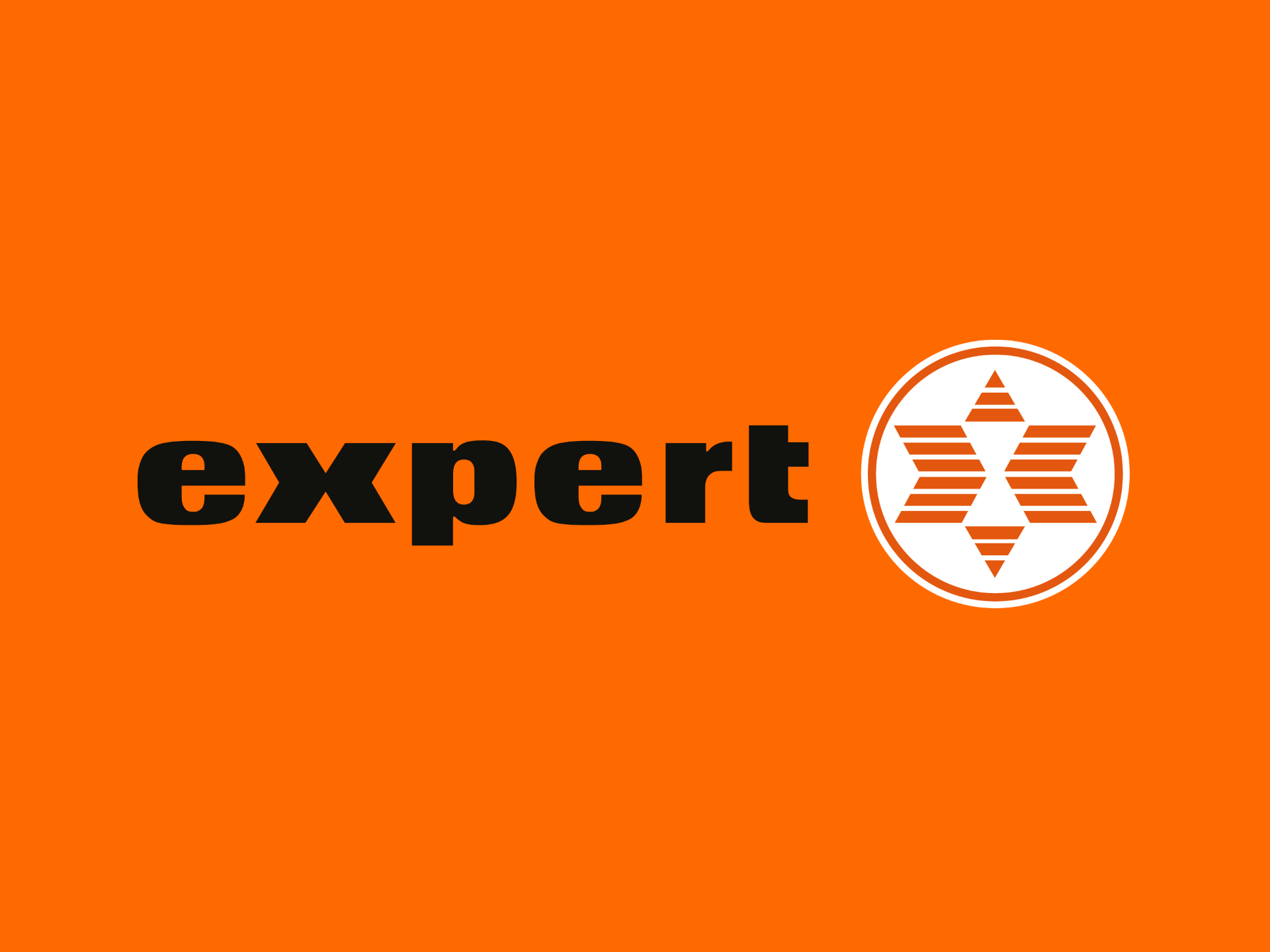 Expert logo
